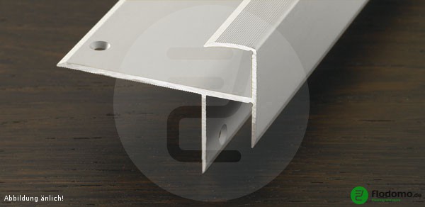 PROSTEP - Treppenkantenprofil silber