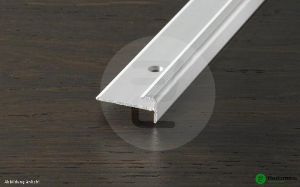 PROSTEP - Treppenkantenprofil aluminium 28x3 silber
