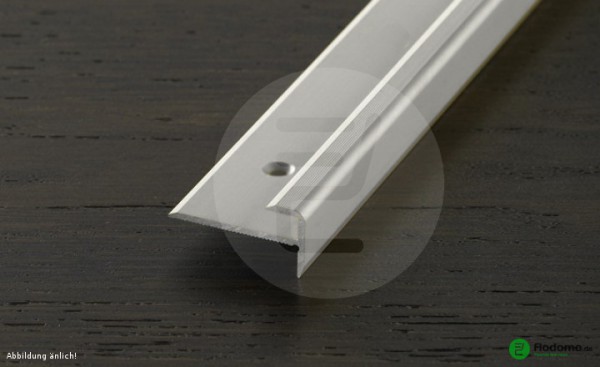 PROSTEP - Treppenkantenprofil 30x5 silber