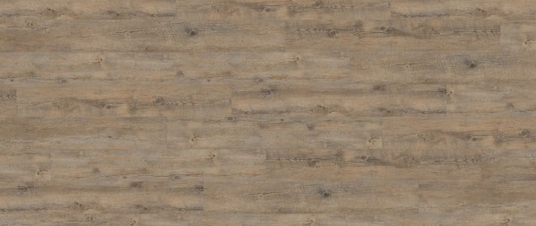 Wineo Ambra wood DEI25114AMW Oak Grey zum Kleben